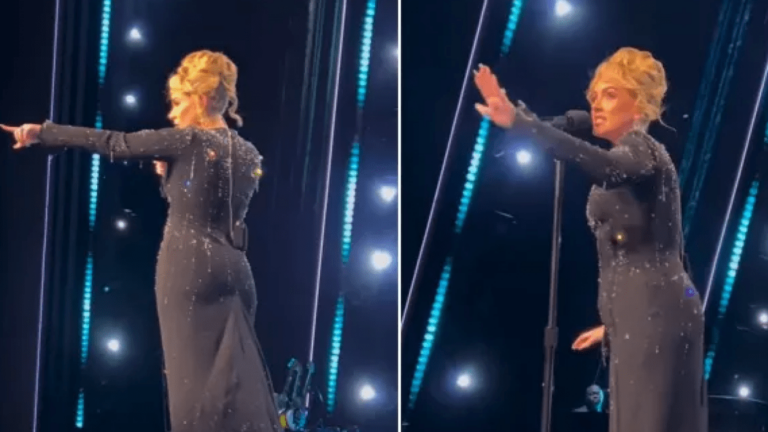 VIDEO/ Adele ndalon koncertin, një roje sigurie po ngacmonte një fans: Çfarë po ndodh atje?