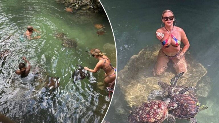 Tuna publikon foto me bikini nga pushimet në Zanzibar