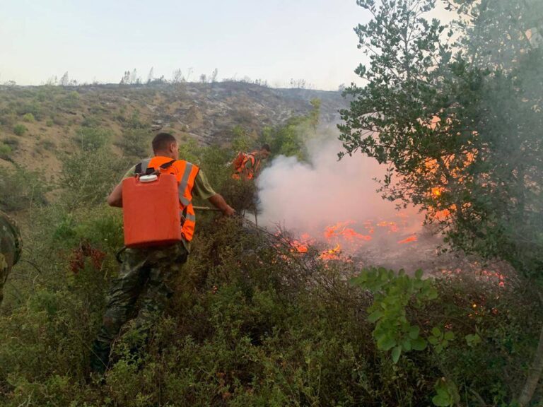Thirrja nga ministri Balla: Zjarrvënia dënohet deri në 15 vite burg
