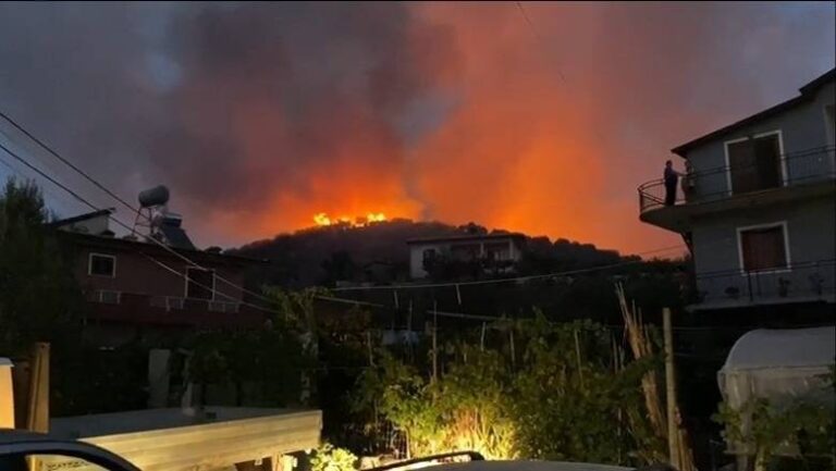Zjarr në kodrat me ullinj në Zhamë, rrezikohen banesat