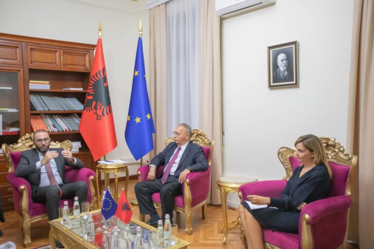 FOTO/ Bardhi dhe Tabaku takim me përfaqësuesit e Këshillit të Europës