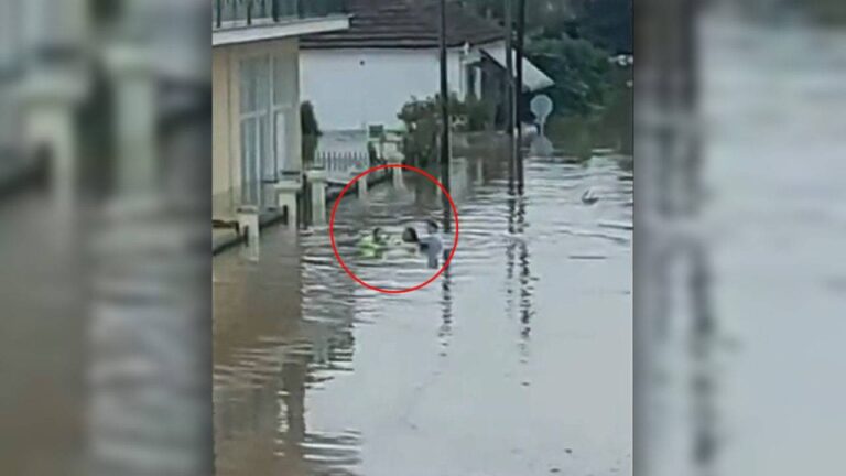 VIDEO rrëntheqëse dhe e bukur, beteja e një nënë për të shpëtuar fëmijën e saj nga përmbytjet
