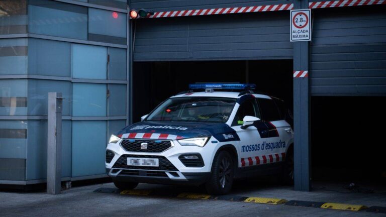 Arrestohen dy skifterët shqiptarë në Spanjë, “veglat e punës” i fshihnin në pyll