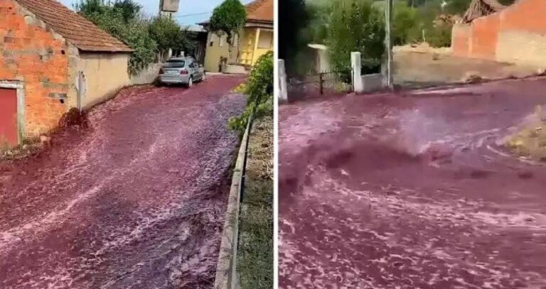 E pazakontë, qyteti portugez përmbytet nga vera e kuqe (VIDEO)