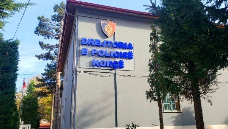 Prej ditësh pa asnjë informacion, nënë e bijë gjenden të pajeta në banesën e tyre