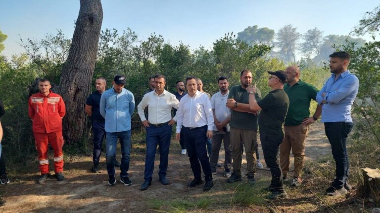 Zjarri pranë banesave në Pishë Poro, ministri: Një nga vatrat më problematike dhe më kaotike