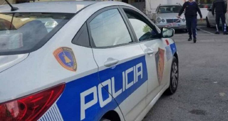 Dhunë, vjedhje dhe drejtim makine në gjendje të dehur, katër të arrestuar në Fier