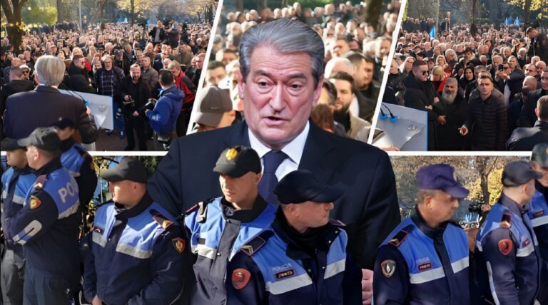 Më shumë policë sesa protestues