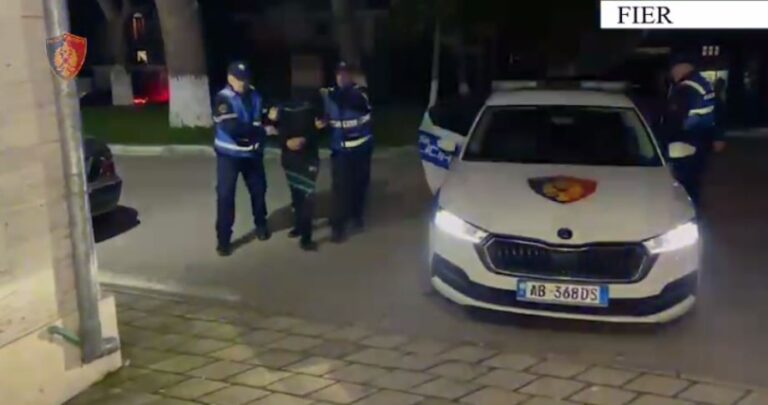 Plumba biznesit në Fier