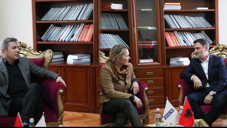 Reforma Zgjedhore mes PS dhe PD së Bashës, përfaqësuesja e OSBE-së: Mirëpresim rifillimin e punës të premten