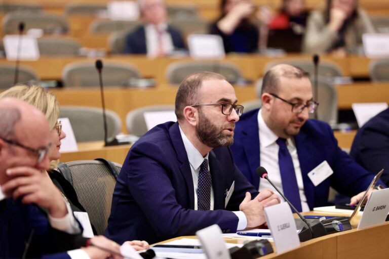 Bardhi flet në Parlamentin Europian: Nuk kemi parë dorë të shtrirë nga mazhoranca, por agresivitet