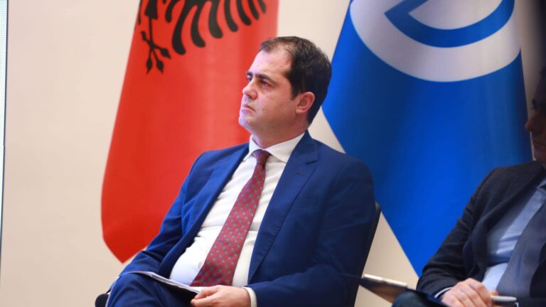 Bylykbashi tregon për aksionin e PD për 11 Majin në Asamblenë e Partive Popullore Europiane