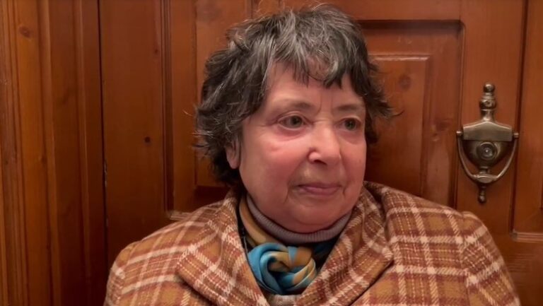Nënë e bijë u gjetën të vd*kura, fqinja: U trokita në derë këto ditë, s’mu përgjigjën
