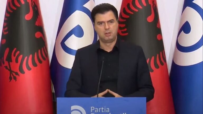 Basha: Lu*ta për interesa personale brenda PD-së ka sjellë faturë të madhe