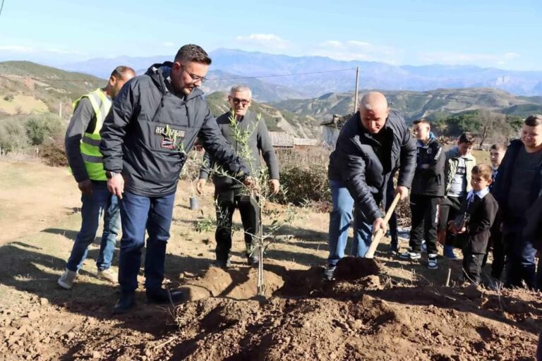 Rama: Mijëra fidanë të mbjellë gjatë javës, shembull i shkëlqyer i koordinimit për Vitin e Pyjeve