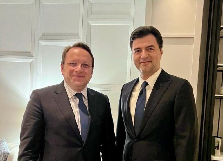 Basha takim me Varhelyin: PD është në krah të drejtësisë dhe SPAK-ut, do kthejmë besimin tek zgjedhjet