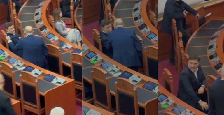 Kaosi në Kuvend, PS përjashton me 40 ditë Palokën dhe deputetin që ofendoi Bashën