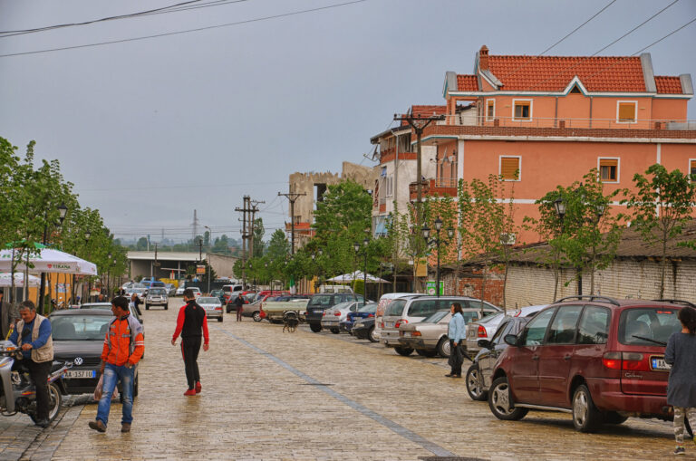 Shifra alarmante për autizmin dhe diagnoza shoqëruese, çfarë ndodh në Vaun e Dejës?