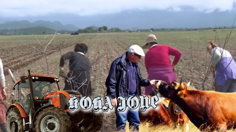 Mendoni për prodhimin e vendit, JO importit!