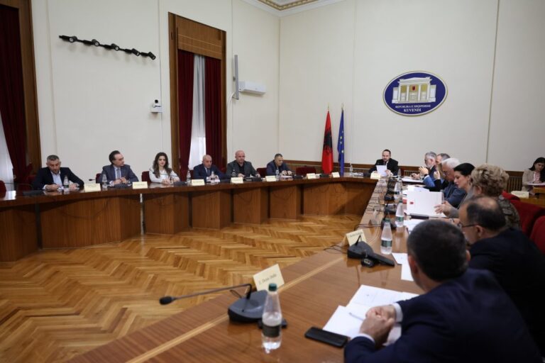 Komisioni për sistemin TIMS, BIRN: Konsesus jo i zakonshëm! Miratohen kërkesat për informim drejtuar institucioneve