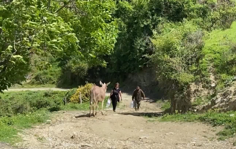 Banorët e disa fshatrave në Dimal jetojnë si në Mesjetë: S’ka rrugë, të sëmurët i çojmë në spital me gomar