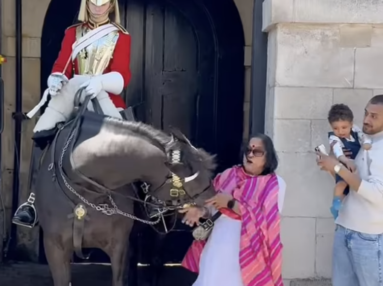 VIDEO/ Moment frike, kali i Gardës Mbretërore kaf**on turisten që pozonte për foto