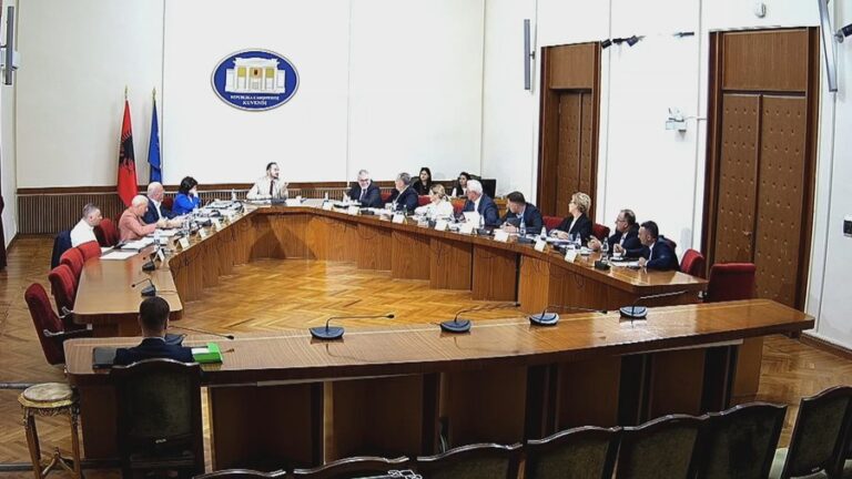 Komisioni hetimor për sistemin TIMS, debate me PS për mbledhjet e mbyllura, Salianji: Si lakuriqët e natës