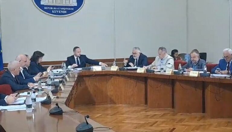 Komisioni për TIMS, kryetari Salianji: Ka detaje përvëluese! Në kufi shiten dhe blihen të dhënat