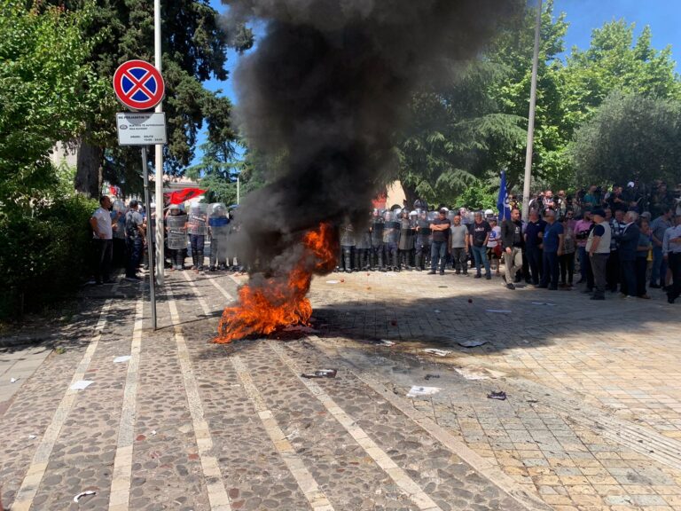 Me shumë policë se sa protestues!
