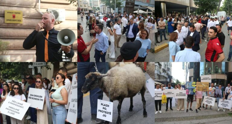 FOTO/ Profesionistët e lirë dalin në protesë me dele para Kushtetueses