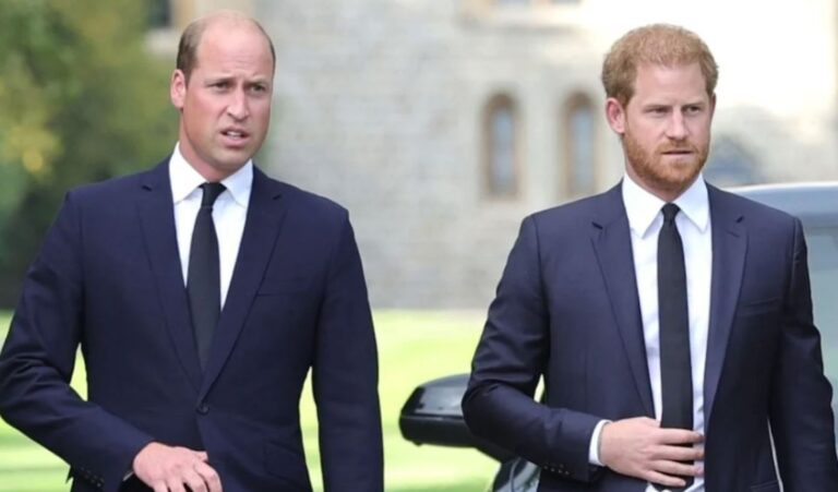 Princi William ndalon Harryn të kthehet në familjen mbretërore