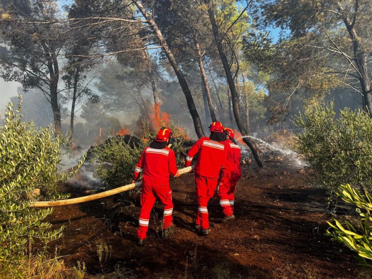 Mbrojtja Civile: Shuhet zjarri në Shëngjin, në 4 ditë u angazhuan 308 efektivë të Forcave të Armatosura