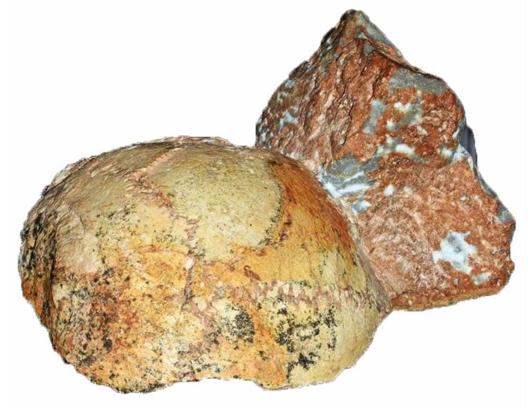 Ekzaminimi befasues, mbetjet e zbuluara në gadishullin Mani të Greqisë mund të rishkruajnë historinë e Homo Sapiens në Euroazi