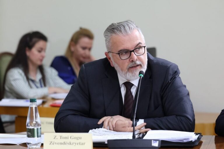 Deputeti Gogu prezanton raportin e PS-së për TIMS: Rishikim tërësor i akteve që mbrojnë të dhënat
