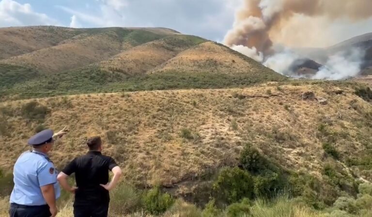 VIDEO/ Ministri Balla shkon në Dropull: Në terren dhjetëra forca dhe mjete për të shuar zjarret