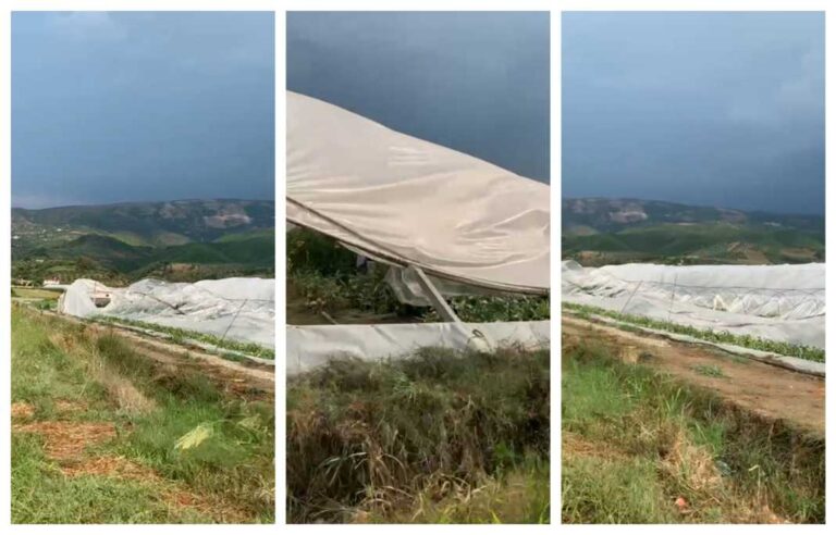 Cërrik, shiu shkatërron tërësisht serat në zonën e Selitës