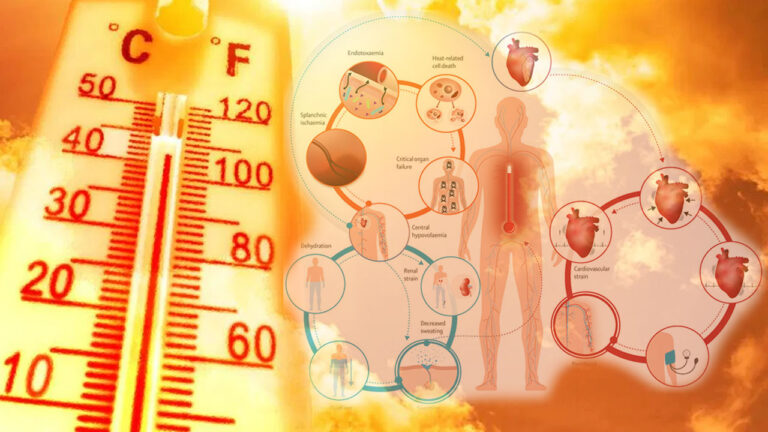 Mostoleranca ndaj ekstremitetit të temperaturave, faktorët fiziologjikë, reagimi i trupit dhe shëndeti