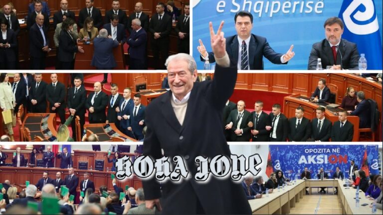 Plas sherri dhe përçarja te partia e Berishës