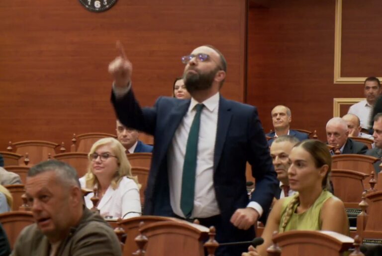 Zbulohet deputetja e PD që votoi në emër të Bardhit dhe për kolegët në Kuvend