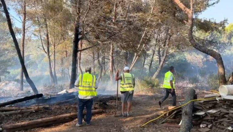 Aktivizohet një vatër zjarri në Shëngjin, një banesë u rrezikua të digjet