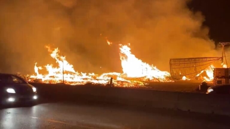 VIDEO/ Zjarr i madh në një punishte paletash në Lushnje, bllokohet përkohësisht rruga në drejtim të Rrogozhinës