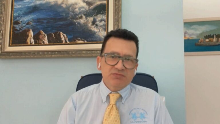 A ka Shqipëria “organizata terroriste”, dhe pse Berisha përhap një ide kaq antishqiptare?