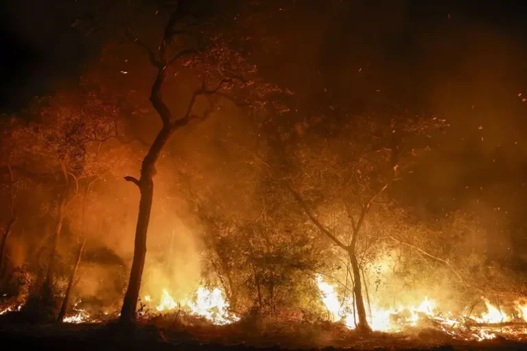 Zjarret masive “gjunjëzojnë” Brazilin, 34 qytete përballen me një gjendje fatkeqësie