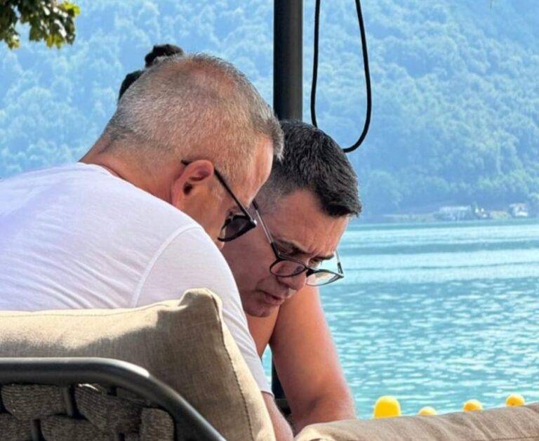 Arben Ahmetaj në shoqërinë e një kryetari partie në Zvicër, gazetari nxjerr foton: Po bëjnë plane