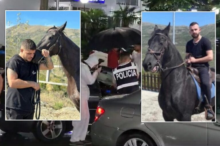 Në Shqipëri pl@mbat po prekin të pafajshmit, dhe ata janë në punë si kamarierë për një kafshatë bukë