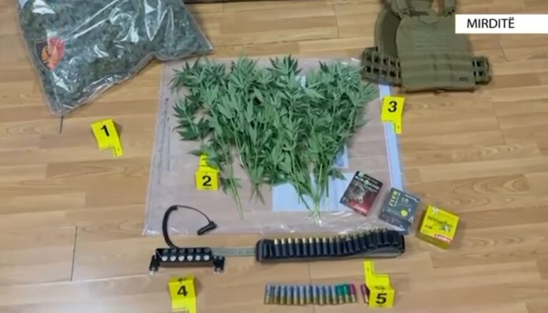 Mirditë, vijon operacioni “Territor i Pastër” për parandalimin, evidentimin dhe goditjen e kultivimit të bimëve narkotike