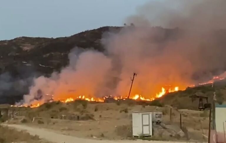 100 zjarrfikës janë në terren, del jashtë kontrollit zjarri në Prespë
