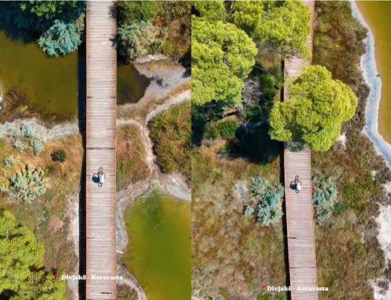 Rama publikon pamjet: Në korrik Parku Kombëtar Divjakë-Karavasta u vizitua nga 67 mijë turistë (VIDEO)