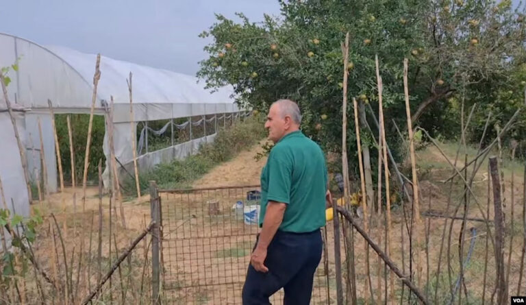 Shqipëri, fermerët e vegjël përballë emigracionit dhe çmimeve të ulëta