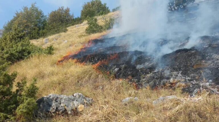Vijojnë zjarret. Ministria e Mbrojtjes publikon të dhënat: U raportuan 29 vatra në 24 orë, 10 ende aktive